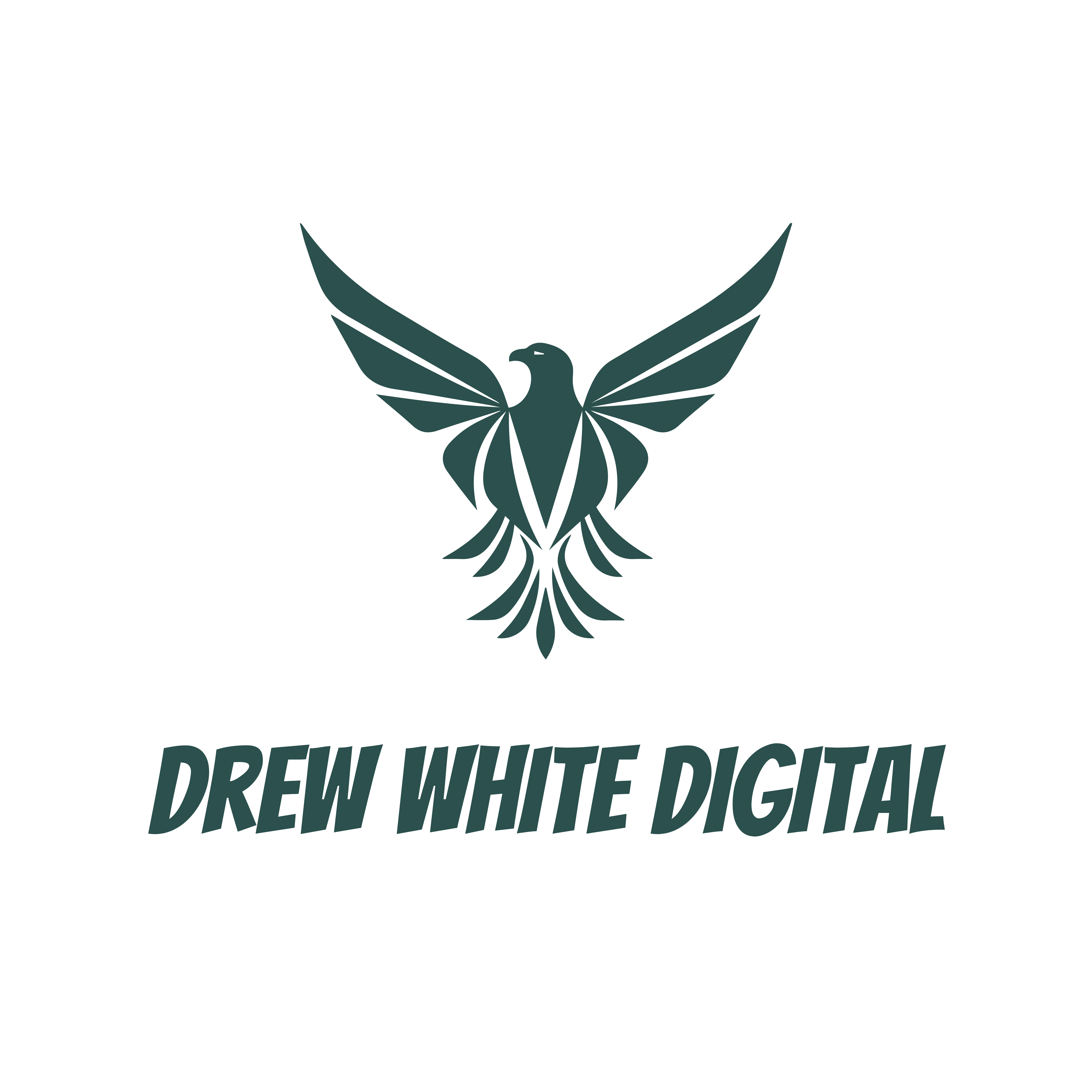 Drew White Digital Website Logo V2